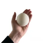 Original konjac svamp pet | 100% naturlig